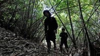 Koridor gajah Hutan Harapan bertalian dengan kawasan perkebunan milik beberapa perusahaan dan warga yang setiap menitnya terus mendapatkan ancaman konversi hutan, lahan, dan praktik tambang ilegal. Laju ancaman yang coba diredam oleh langkah-langkah kecil Janu dan Saleksa.  