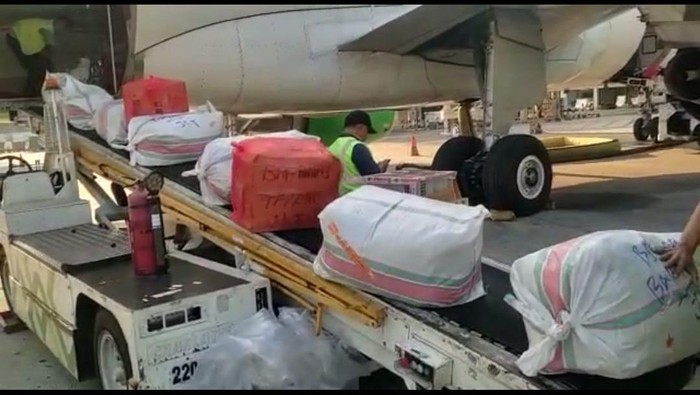 Pengiriman cabai asal Wajo, Sulsel ke luar pulau Sulawesi yang mencapai 162 ton (Dok. Istimewa).