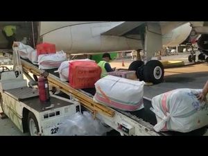 Wajo Kirim 162 Ton Cabai ke Jawa, Sumatera hingga Papua