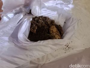 Viral Makam Sisingamangaraja XII Dibongkar Orang, 11 Pelaku Diamankan