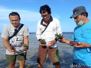 Aksi Warga Sanur Rawat Terumbu Karang di Tengah Ancaman Terminal LNG