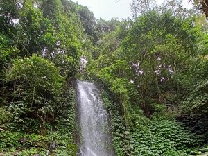 Berwisata ke Air Terjun Pujungan di Tabanan, Sayang Kalau Dilewatkan!