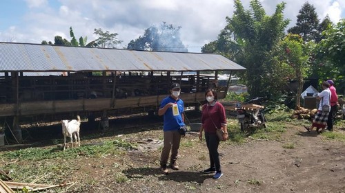 Petugas Distan Tabanan melakukan pengawasan dan pembagian desinfektan kepada salah satu pengepul kambing di Kecamatan Pupuan awal Juni 2022.