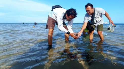 Komunitas Peduli Sumber Daya Air Sungai-Bahari Sanur menyiapkan bibit terumbu karang untuk ditanam di laut kawasan Desa Sanur Kauh, Kecamatan Denpasar Selatan, Kota Denpasar.