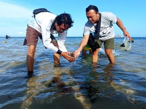 Cerita Warga yang Rawat Terumbu Karang di Perairan Sanur Kauh