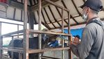Suasana Pasar Hewan Beringkit di Badung Jelang Idul Adha
