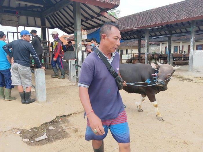 Pasar Hewan Beringkit, Mengwi, Kabupaten Badung merupakan pasar hewan terbesar di Bali, Minggu (3/7/2022).