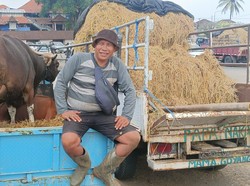 Pedagang sapi di Pasar Hewan Beringkit, Minggu (3/7/2022). Foto: Triwidiyanti