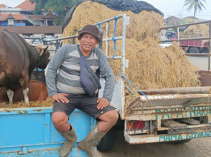 Pedagang sapi di Pasar Hewan Beringkit mengaku sangat khawatir pasca adanya sapi yang terjangkit PMK di Pulau Bali, Minggu (3/7/2022)