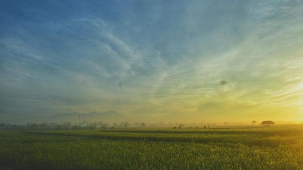 Pemandangan Sunrise di Desa Pelambik, Kecamatan Praya Barat, Kabupaten Lombok Tengah, NTB, Munggu (3/7/2022).