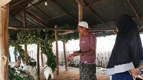Salah seorang penjual hewan kurban, Supardin di jalan raya lintas Provinsi tepatnya di Desa Bara, Kecamatan Woja, Kabupaten Dompu, Minggu (3/7/2022)