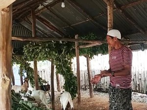 Tak Ada Pasar, Pedagang Jual Kambing Kurban di Pinggir Jalan Dompu