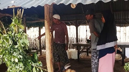 Penjual kambing kurban di pinggir jalan Desa Bara, Kecamatan Woja, Kabupaten Dompu, Minggu (3/7/2022)