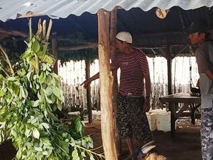 Penjual Kambing Kurban di Dompu Ngaku Tak Khawatir PMK