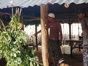 Penjual Kambing Kurban di Dompu Ngaku Tak Khawatir PMK
