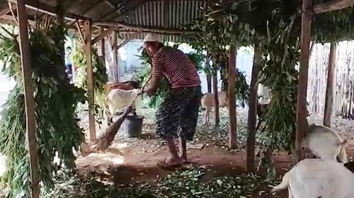 Supardin saat menjual kambing kurban di jalan raya lintas provinsi tepatnya di Desa Bara, Kecamatan Woja, Kabupaten Dompu, Minggu (3/6/2022)