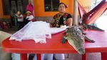 Potret Unik Wali Kota di Meksiko Menikahi Buaya Betina, Tujuannya Mulia