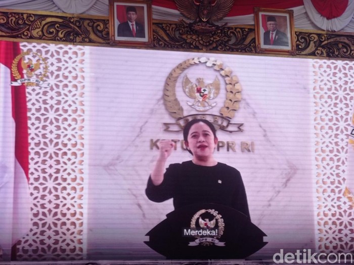 Puan Maharani (Wilda Hayatun Nufus/detikcom)