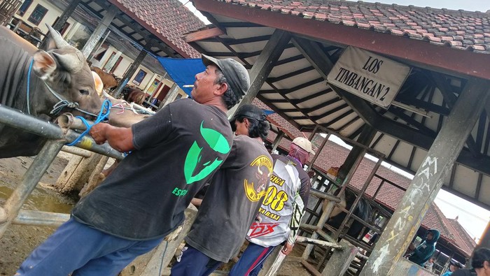 Situasi di Pasar Hewan Bringkit, Mengwi, Badung, Minggu (3/7/2022), usai merebak virus PMK di Bali.