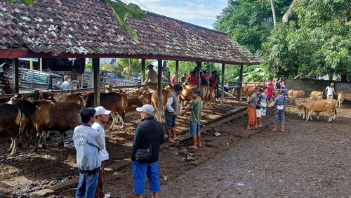 suasana pasar hewan yang ada wilayah Bebandem