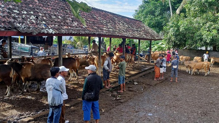 suasana pasar hewan yang ada wilayah Bebandem