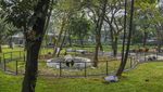 Tebet Eco Park Masih Tutup Gaes...