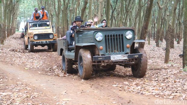 Wisata naik jip menyusuri pantai dan hutan karet di Jepara