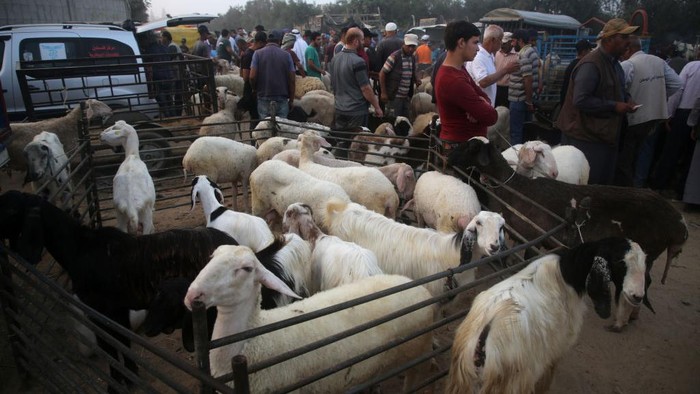 1241695452 Palestinians choose sharp cutting objects that a vendor is selling at a livestock market, ahead of Eid al-Adha, in Deir al-Balah, in the center of the Gaza Strip, on july 04, 2022. - Muslims across the world celebrate Eid al-Adha by visiting the tombs of their loved ones and slaughtering sheep, goats, cows and camels, in commemoration of Prophet Abraham's readiness to sacrifice his son Ismail on God's command.
(Photo by Majdi Fathi/NurPhoto via Getty Images)