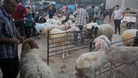 Kesibukan jual-beli hewan kurban terlihat di pusat Jalur Gaza di kawasan Deir al-Balah, Palestina, Senin (4/7/2022).