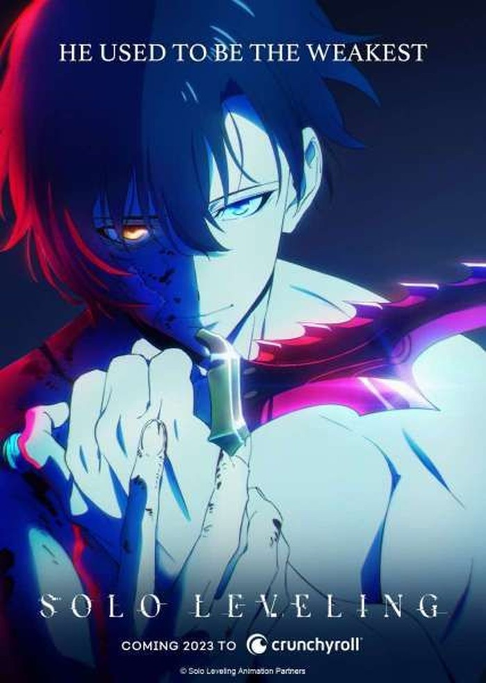 Anime Solo Leveling