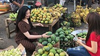 Intan yang hobi makan buah segar pernah mengabadikan foto dirinya membeli buah di pasar. Secara telaten, Intan memilih satu per satu mangga berkualitas terbaik. Foto: Instagram/intan_nallendra