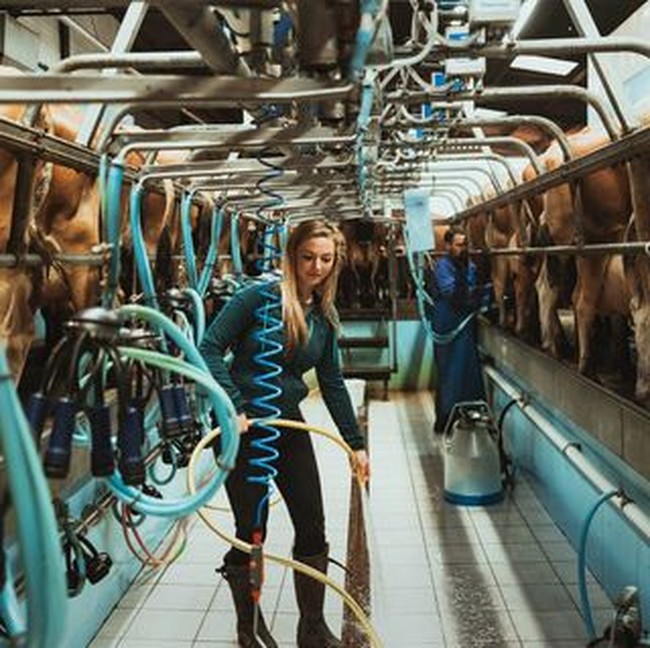 Ia pun tidak ragu untuk melakukan pekerjaan kotor. Ini potret 29 tahun itu saat sedang membersihkan tempat perah. Foto: Instagram @jerseycowgirl