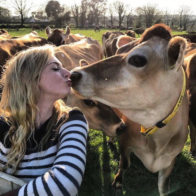 Di Instagram, Becky Houze sering memamekan kemesraan dengan para sapi. Menggendong sapi pun menjadi kegiatan sehari-hari Becky.Foto: Instagram @jerseycowgirl