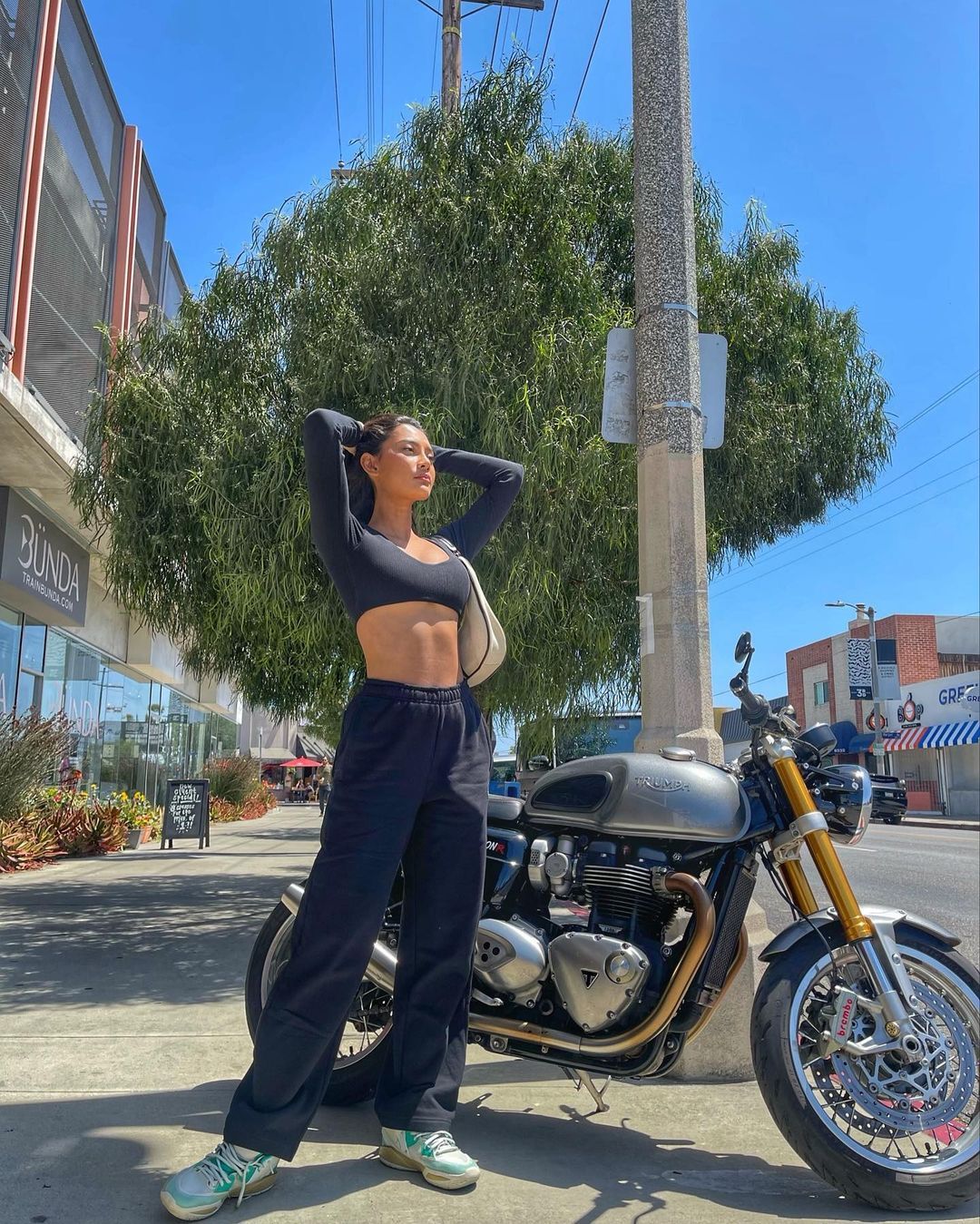 Erica Carlina