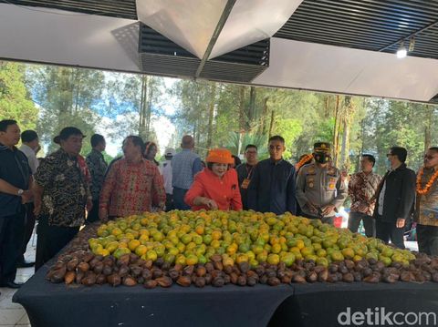 Festival bunga dan buah di Karo