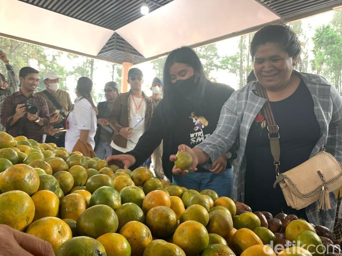 Festival bunga dan buah di Karo
