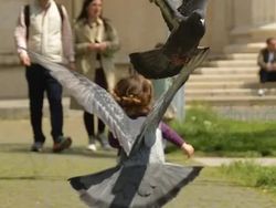 Bahaya Lihat Foto Ini Sekilas, Bikin Mata Tertipu