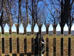 Bahaya Lihat Foto Ini Sekilas, Bikin Mata Tertipu