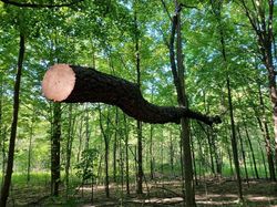 Bahaya Lihat Foto Ini Sekilas, Bikin Mata Tertipu