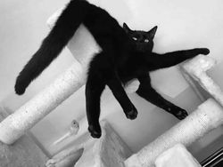 Bahaya Lihat Foto Ini Sekilas, Bikin Mata Tertipu