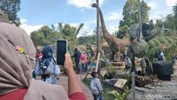 Ada beberapa wahana yang disediakan oleh pengelola di tempat ini. Yang paling jadi buruan, adalah sebuah pulau berisi belasan dinosaurus replika yang berada di bagian paling belakang Garut Dinoland. 