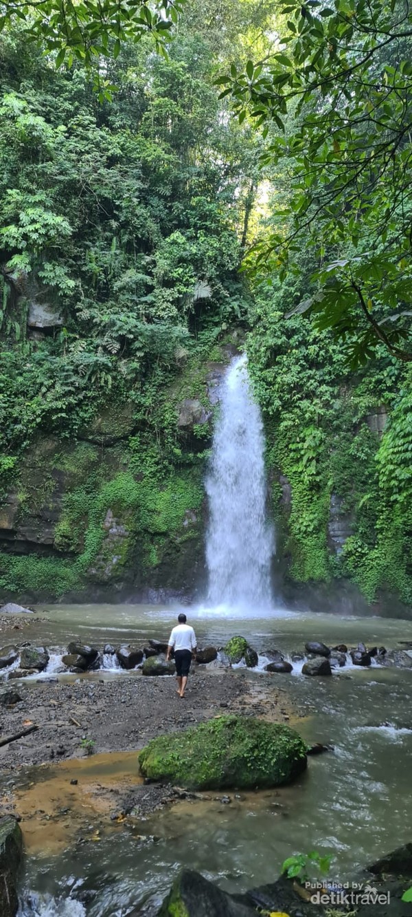Trekking ke hutan untuk bermain air di Air Terjun Goa Gong