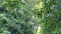 Trekking ke hutan untuk bermain air di Air Terjun Goa Gong