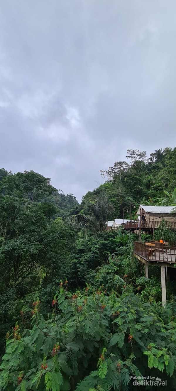 Pemandangan dari restaurant