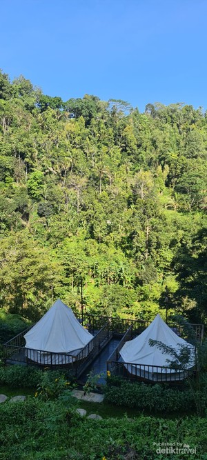 Hidden Gem Glamping di Bali, Pelaga Eco Park