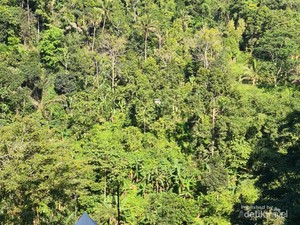Hidden Gem Glamping di Bali, Pelaga Eco Park