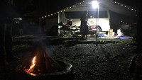 Di tempat kemping ini traveler akan disajikan pemandangan indah dengan banyak pepohonan pinus.