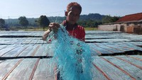 Pekerja membuat mie soun di pabrik Ketela Mas, Desa Tambak, Banyumas, Jawa Tengah.