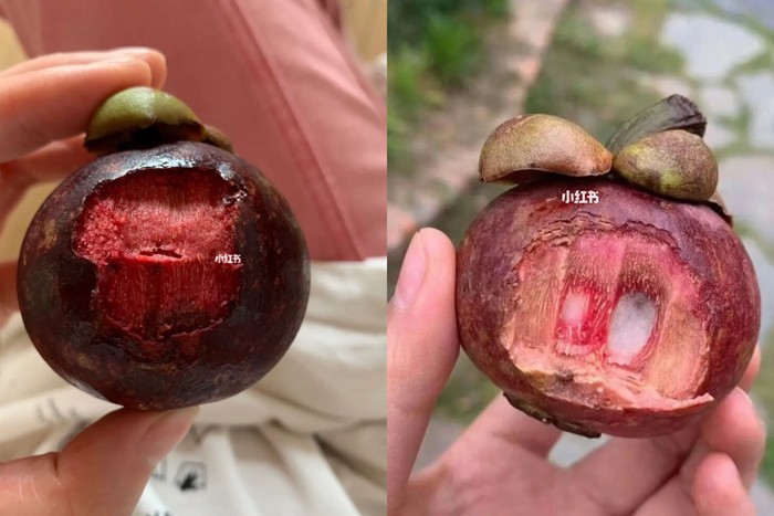 Netizen China salah makan manggis, digigit bukan dikupas.