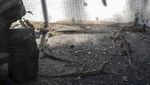Puluhan Bayi Komodo Menetas di Kebun Binatang Surabaya, Ini Fotonya